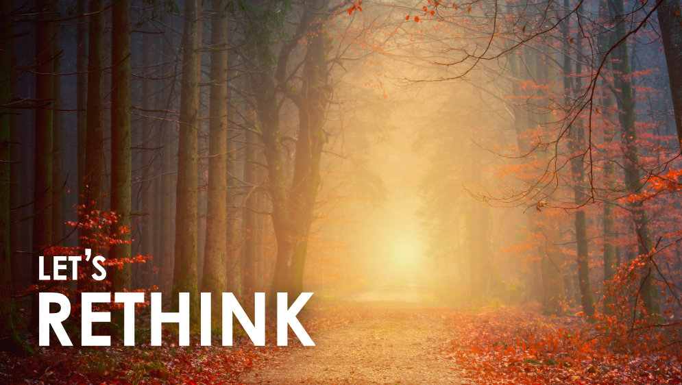 A path through a forest with light at the end