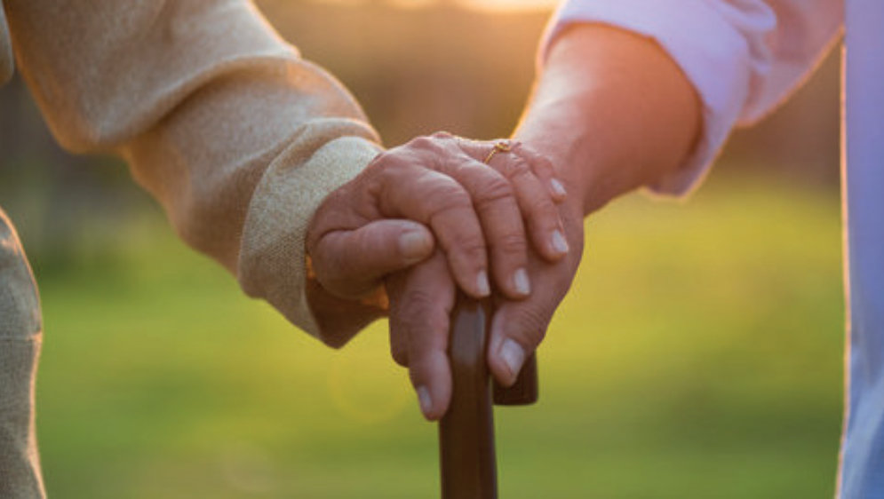 A close up of old hands holding a walking stick together