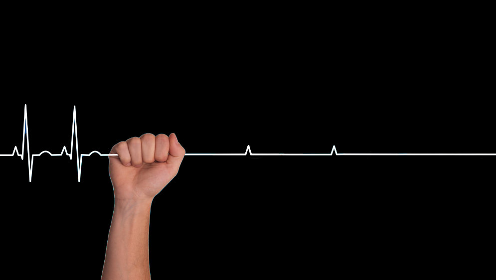 A hand, holding a heart beat pulse line.